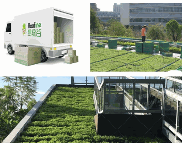 易绿谷屋顶绿化